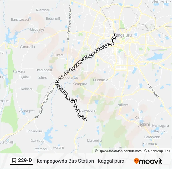 229-D Bus Line Map