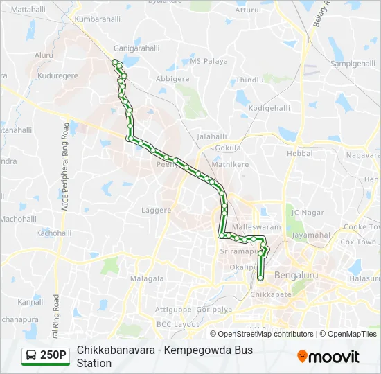 250P Bus Line Map