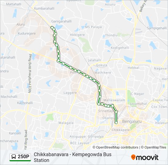 250P bus Line Map