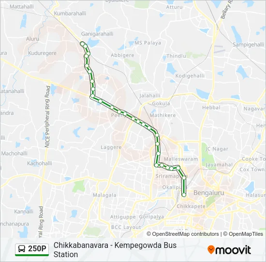 250P Bus Line Map