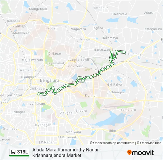 313L Bus Line Map