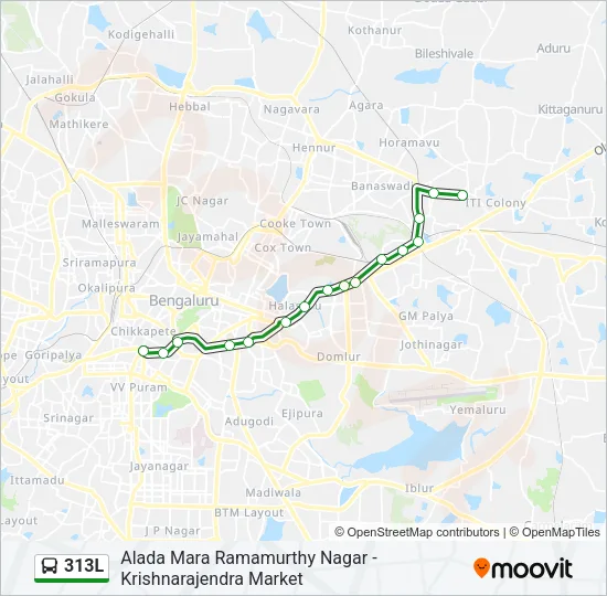 313L Bus Line Map