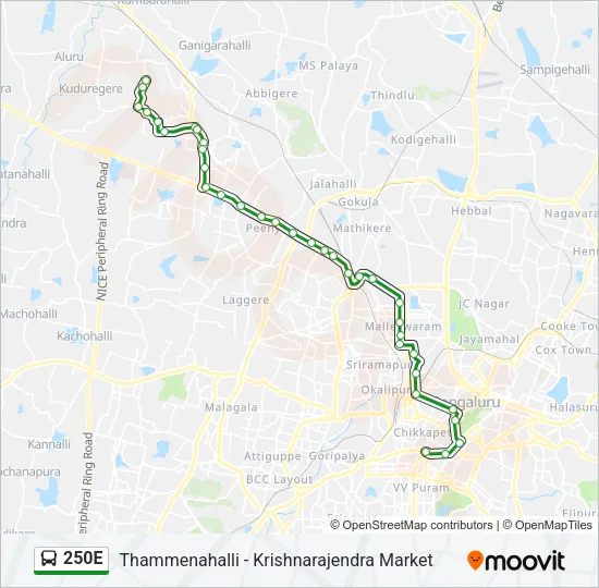 250E Bus Line Map
