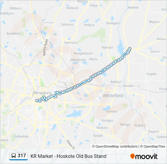 317 Bus Line Map