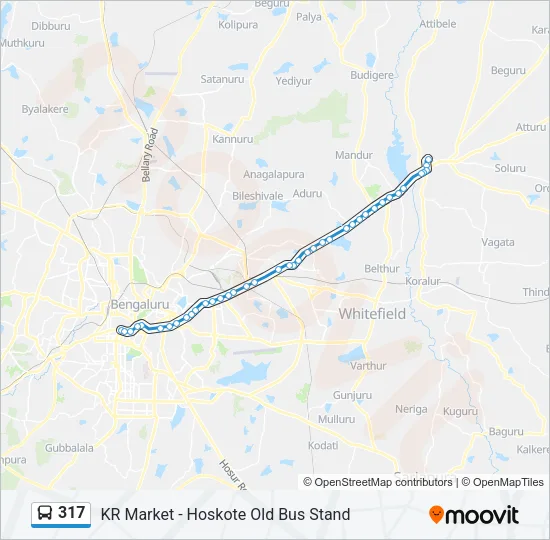 317 Bus Line Map