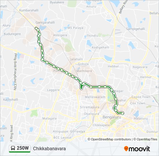 250W bus Line Map