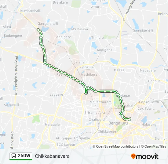 250W Bus Line Map