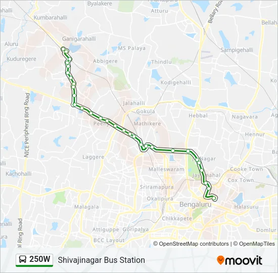 250W Bus Line Map