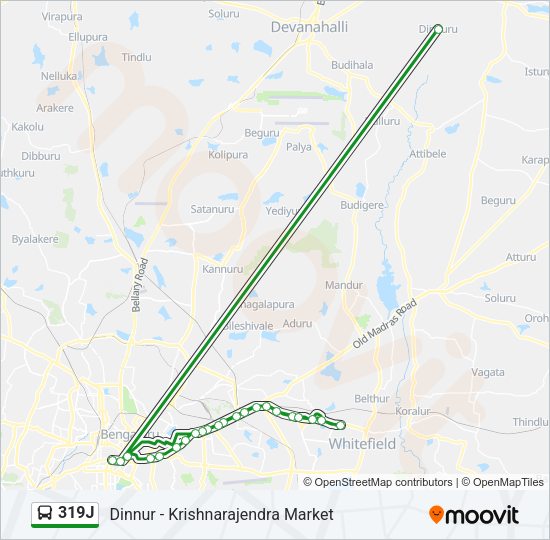 319J bus Line Map