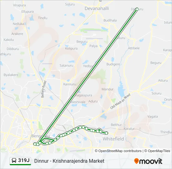 319J Bus Line Map