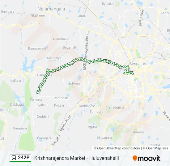 242P Bus Line Map