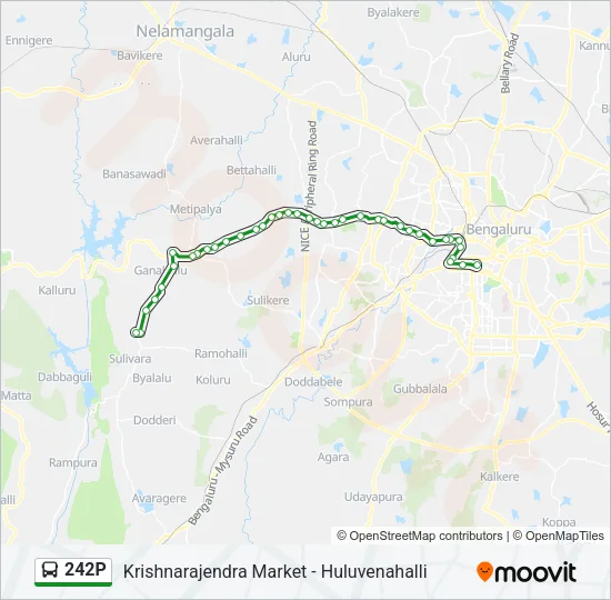 242P Bus Line Map