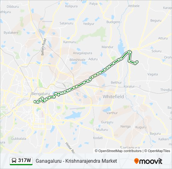 317W bus Line Map