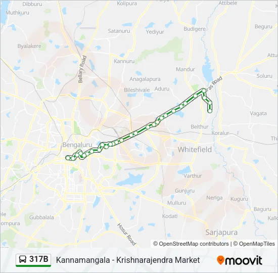 317B Bus Line Map