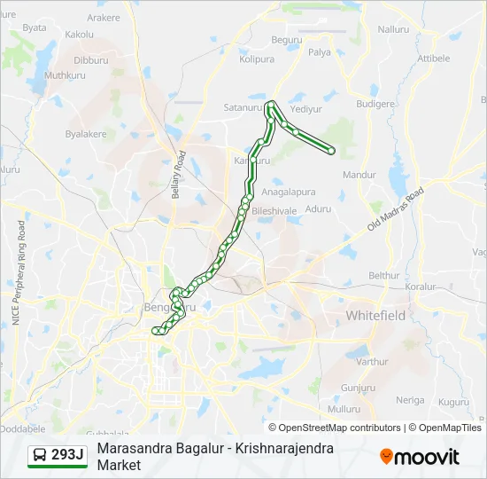 293J Bus Line Map