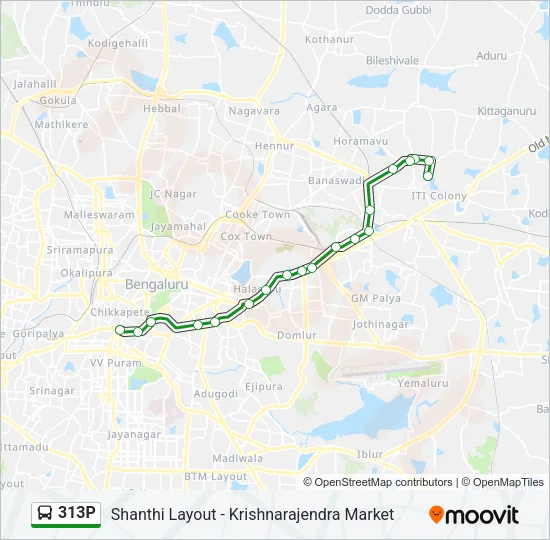 313P Bus Line Map