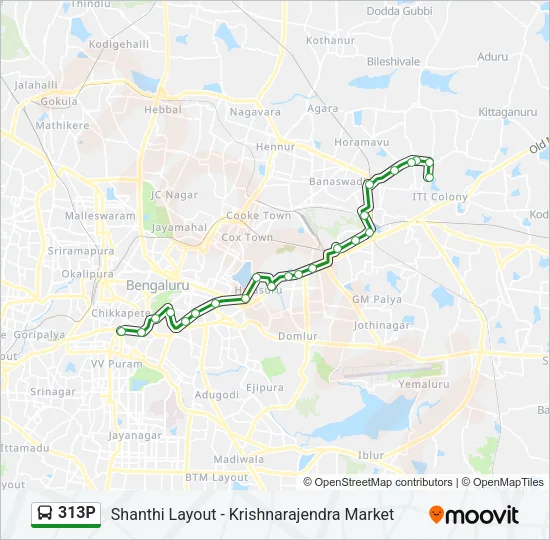 313P Bus Line Map