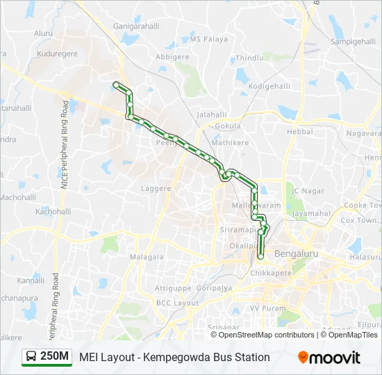 250M Bus Line Map
