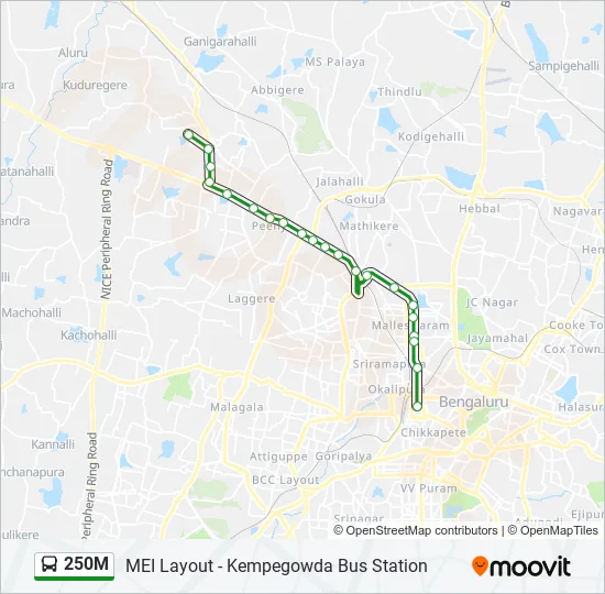 250M Bus Line Map