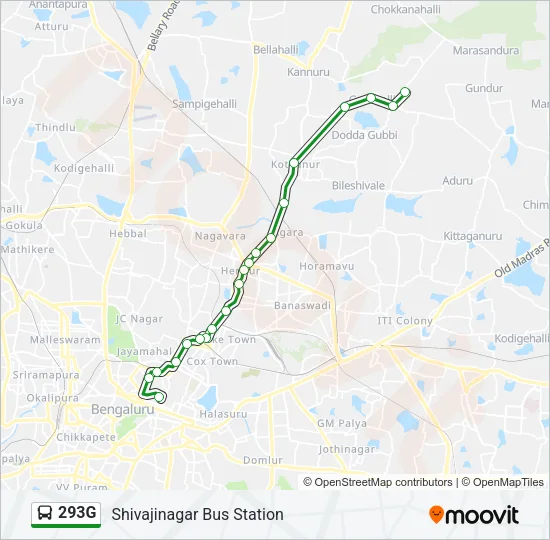 293G Bus Line Map
