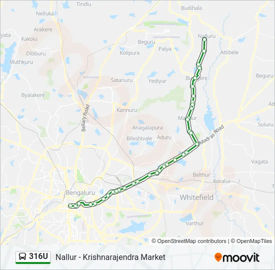 316U Bus Line Map