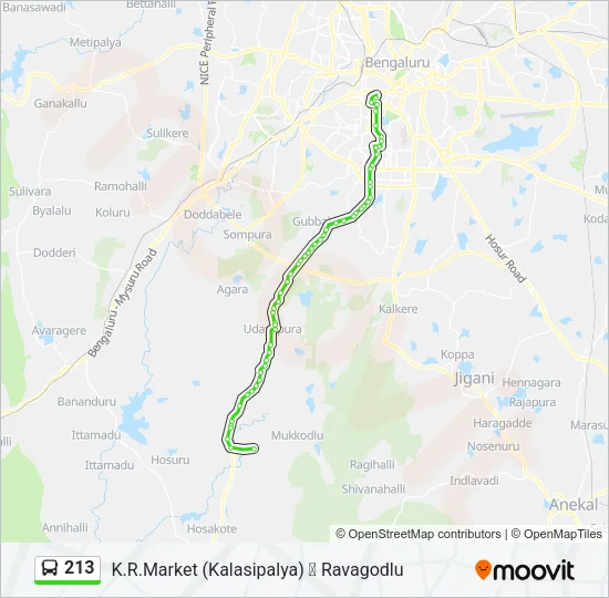 213 Bus Line Map