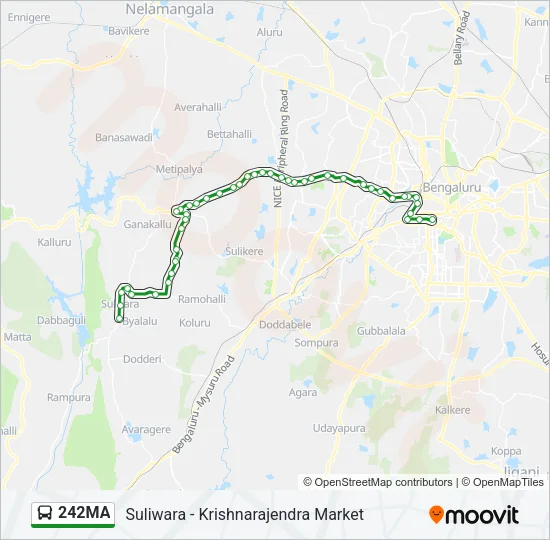 242MA Bus Line Map