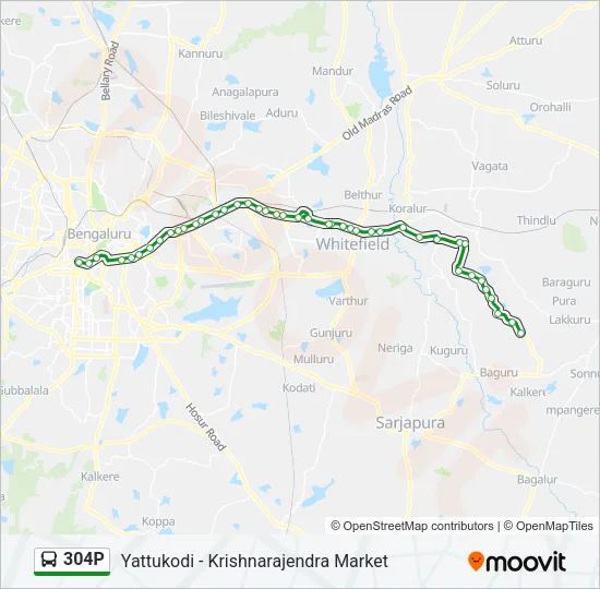 304P Bus Line Map