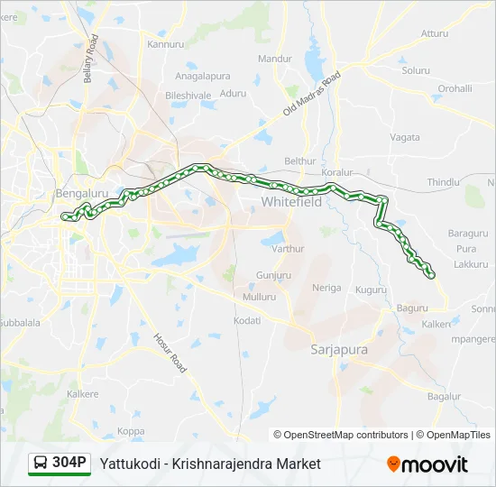 304P Bus Line Map