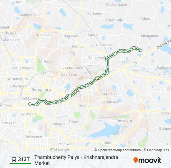 313T Bus Line Map