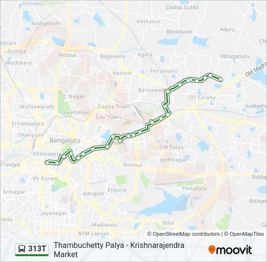 313T Bus Line Map