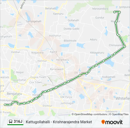 316J Bus Line Map