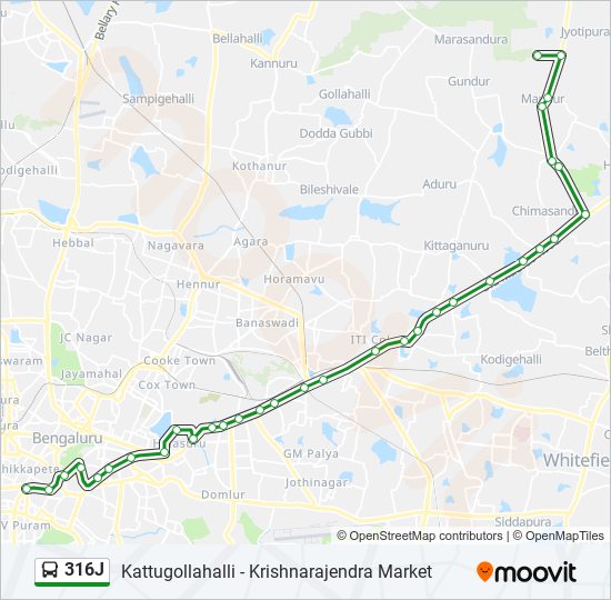 316J bus Line Map