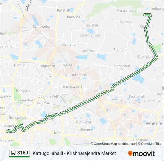 316J Bus Line Map