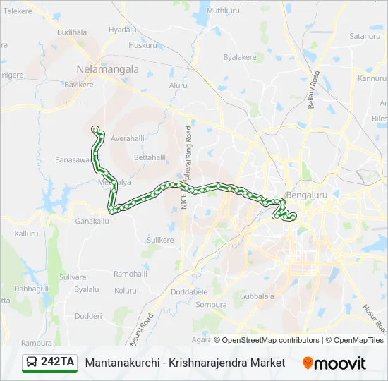 242TA Bus Line Map