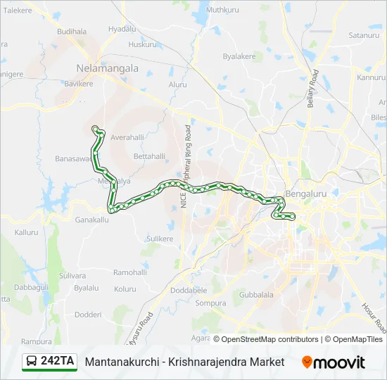 242TA Bus Line Map