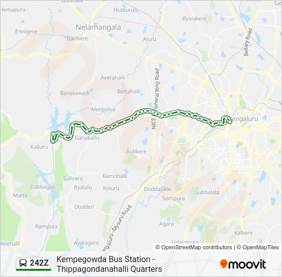 242Z Bus Line Map