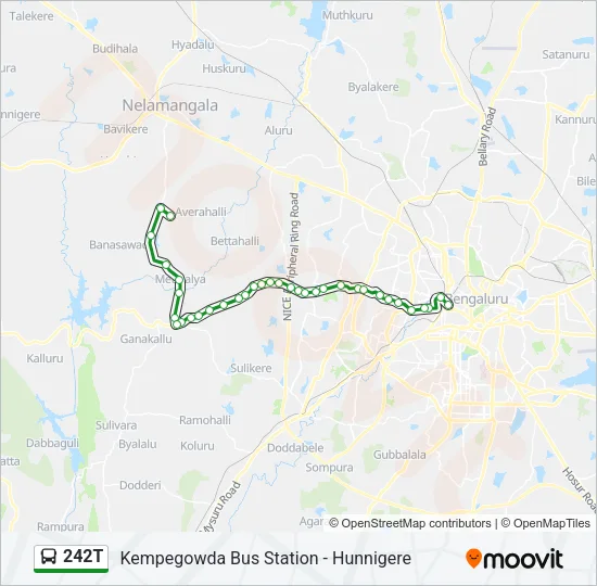 242T Bus Line Map