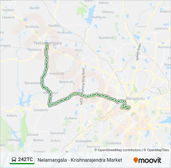 242TC Bus Line Map