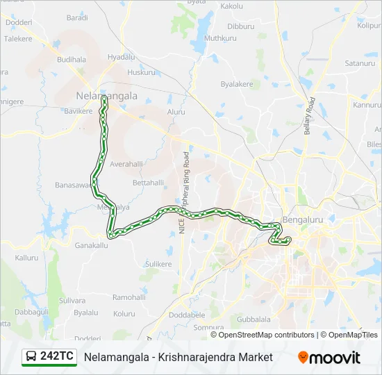 242TC Bus Line Map