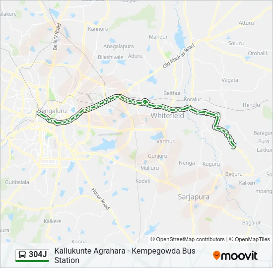 304J Bus Line Map