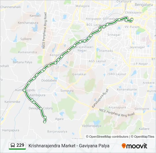 229 Bus Line Map