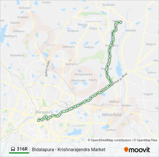 316R Bus Line Map
