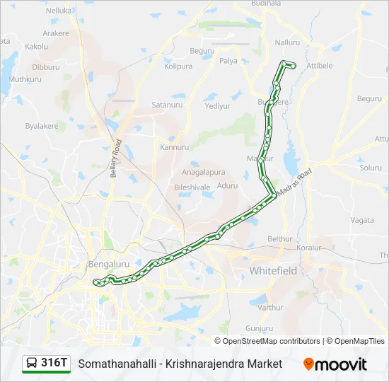 316T Bus Line Map