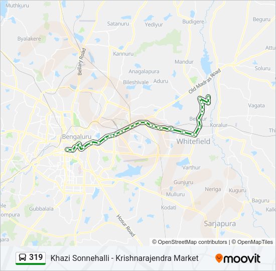 319 Bus Line Map