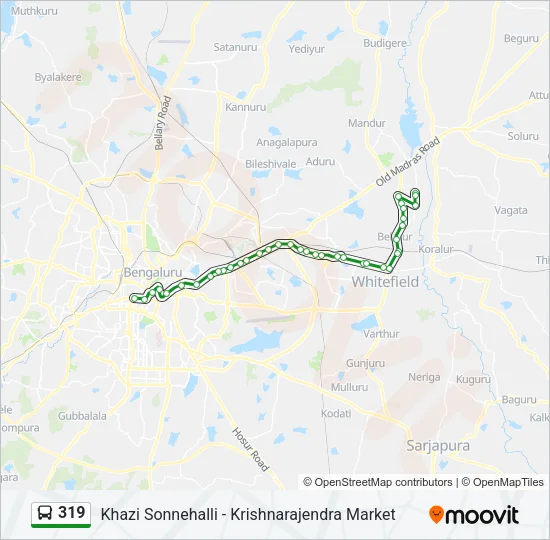 319 Bus Line Map