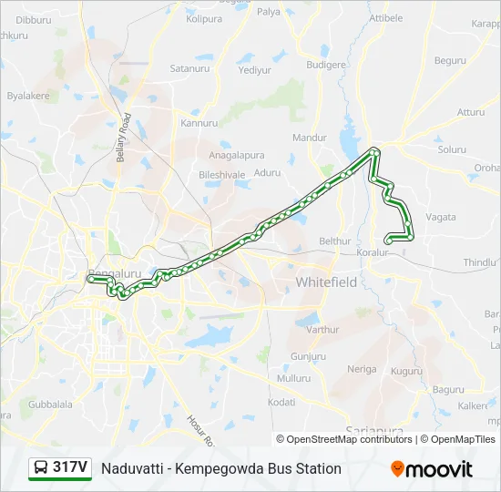 317V Bus Line Map