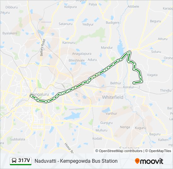 317V bus Line Map