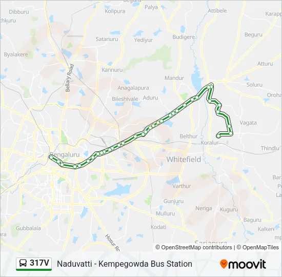 317V Bus Line Map