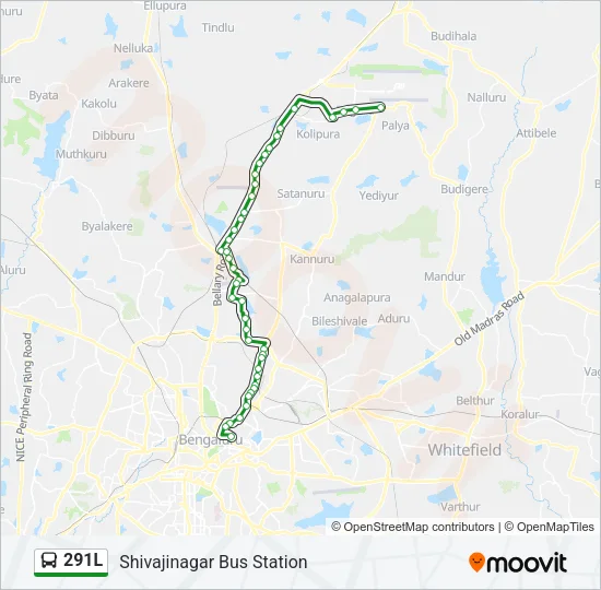 291L Bus Line Map